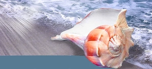 Sport und Wellness Massagen für Körper Geist und Seele