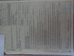 2022 griechische landschildkröten