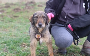 Kämpferin Rapunzel ist bereit für ein neues Kapitel