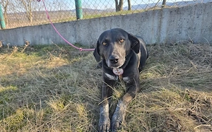 Julia - leise Seele sucht sicheren Hafen