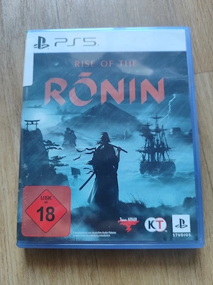 The Rise of Ronin 