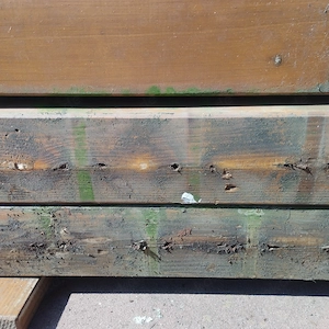 3 Douglasie Balken zu verschenken 