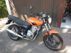 Scheunenfund zu verschenken