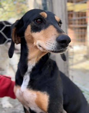 Fitte Seniorin Giulia möchte ankommen!