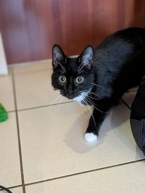 EKH Mädchen super lieb 