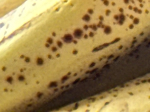 Älter Mann suche junge Dame etwas jung  keine Problem 