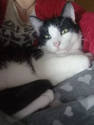 Anhänglicher Felipe (ALO)