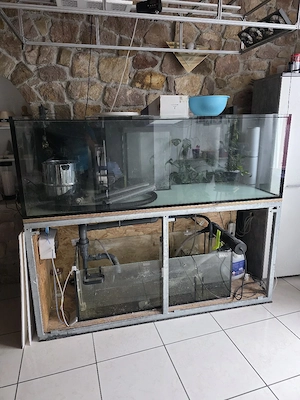 Meerwasser Aquarium 720l   Bild 3