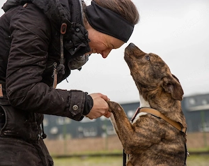 Chihiro sucht ein Zuhause Bild 2