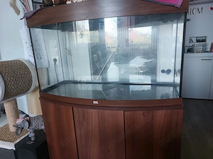 Aquarium mit Unterschrank