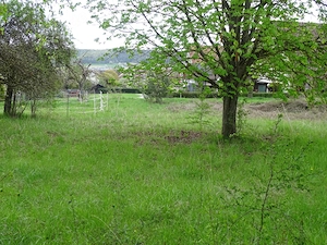 Stellplatz für Werbeanhänger