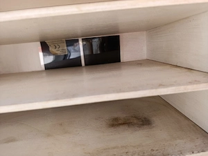 Terrarien Aufzucht Rack mit Boxen