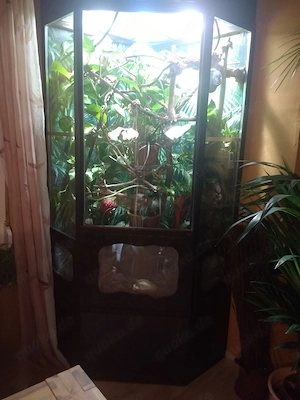 Terrarium mit kompletter Ausstattung