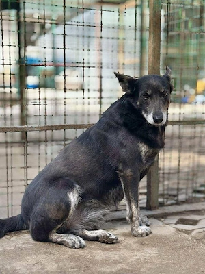     Jane sucht ihre Familie    