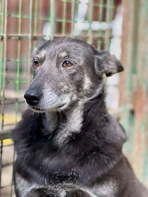     Jane sucht ihre Familie    