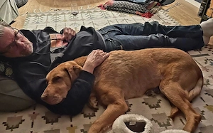 Menschenbezogener Ricky sucht Zuhause Bild 6