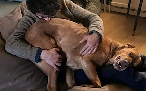 Menschenbezogener Ricky sucht Zuhause Bild 4