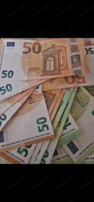 Wir suchen einen Hund 