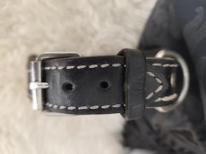 Hundehalsband große Rassen 