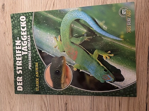 Buch Streifen- Taggecko