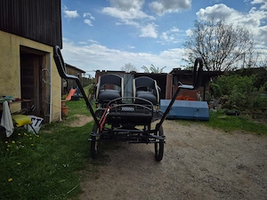Kutsche, Marathonkutsche zu verkaufen Bild 4