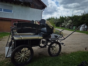 Kutsche, Marathonkutsche zu verkaufen Bild 3
