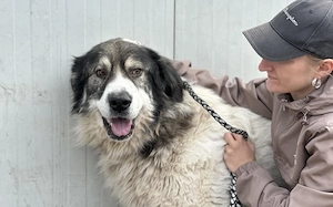 Edgar sucht HSH-Fans