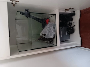 Meerwasser Aquarium Bild 2