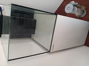 Meerwasser Aquarium