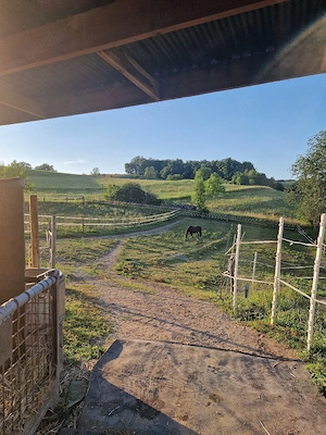 Platz im Offenstall frei