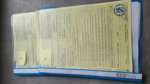 Maurische Landschildkröten mit EU Bescheinigung 