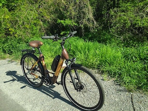 Einzigartiges Bambus E-Bike my Boo 