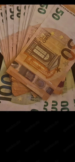 Wir suchen einen Hund 