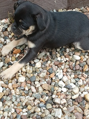 Ein Traum auf 4 Pforten! 