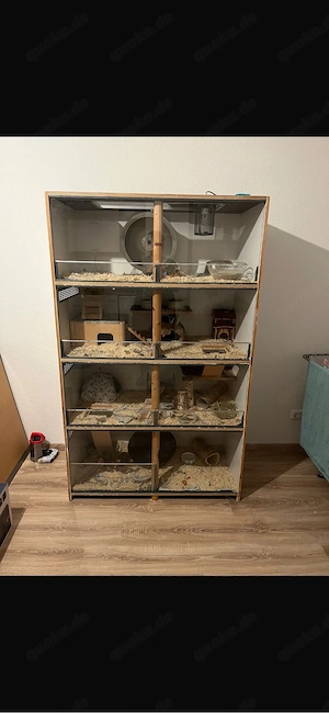 Degu Kleintier Käfig mit viel Zubehör 