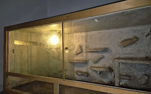 Schlangeterrarium mit den Abmessungen 1,20x60x60cm