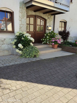 Witwer 76 sucht Nette Bekanntschaft 