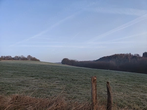 Hausaufgabenhilfe, Nachhilfe 