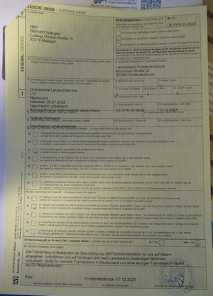 Griechische Landschildkröten