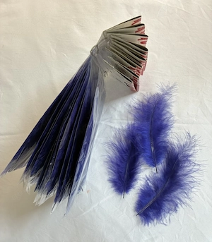 Marabufedern violett