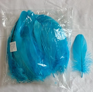 Gänseschulterfedern türkis