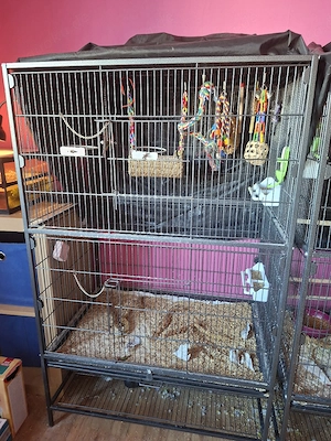 Vogelvoliere abzugeben 