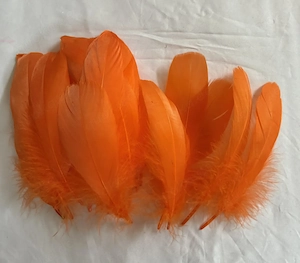 Gänseschulterfedern orange