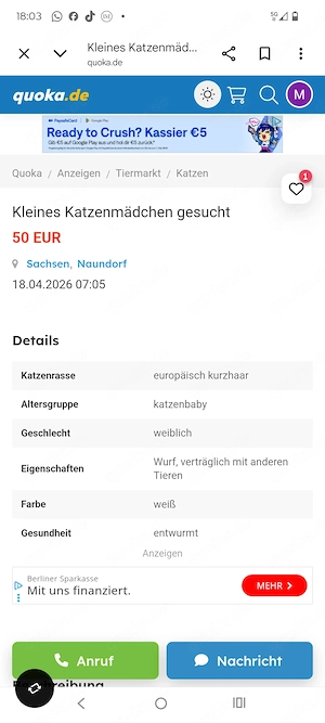 Warnung bitte Dringend Lesen.