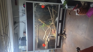 Xxl Terrarium aus Siebdruck Platten 200x156x80 