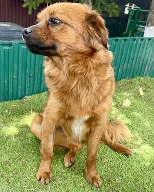 Kleine River sucht ihre Menschen