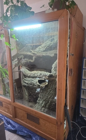 XXXL Terrarium aus Holz 