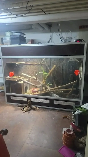 Xxl Terrarium aus Siebdruck Platten 200x156x80 