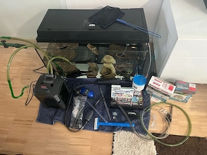 Komplett-Set: 2 Axolotl inkl. Juwel Aquarium (80cm), Eheim Außenfilter & Profi-Zubehör