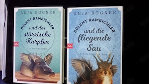 Romane-zur-laufnden-TV-Serien